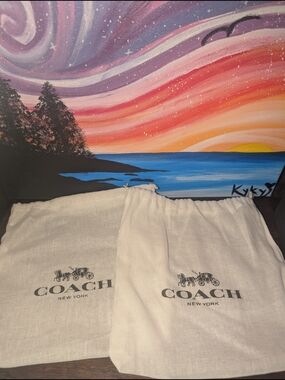 Coach Dust Bags, Box and Shopping Bag